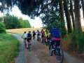 IMG-20221106-WA0037